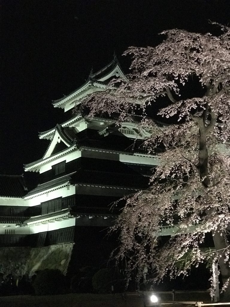 imagem de cerejeiras e o castelo de Matsumoto à noite