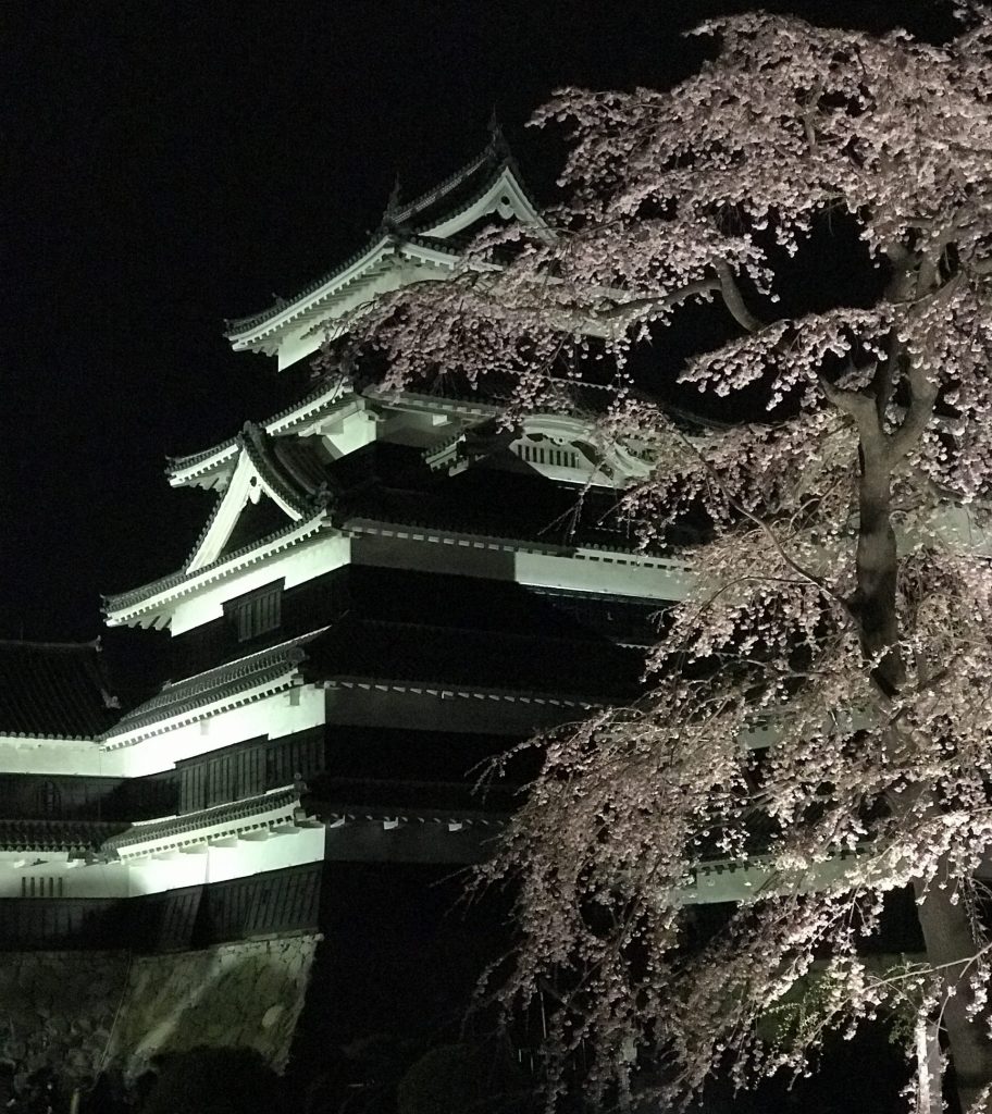 imagem de cerejeiras e o castelo de Matsumoto à noite